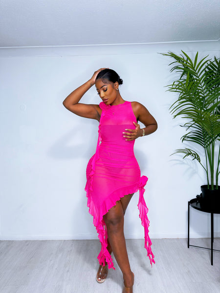 ROSE MESH RUFFLE DRESS (PREORDER) – House of Zimma